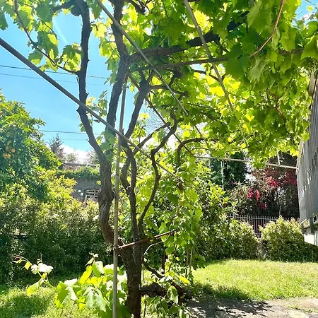Casa vacanze 